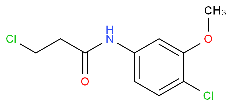 3-chloro-N-(4-chloro-3-methoxyphenyl)propanamide_分子结构_CAS_915920-71-7