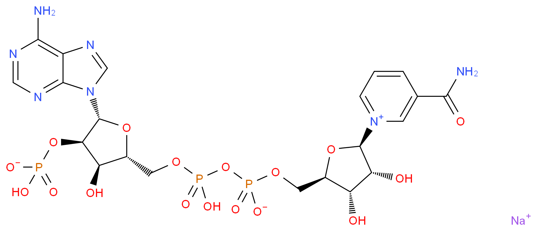 sodium 1-[(2R,3R,4S,5R)-5-{[({[(2R,3R,4R,5R)-5-(6-amino-9H-purin-9-yl)-4-(hydrogen phosphonatooxy)-3-hydroxyoxolan-2-yl]methoxy}(hydroxy)phosphoryl phosphonato)oxy]methyl}-3,4-dihydroxyoxolan-2-yl]-3-carbamoyl-1λ<sup>5</sup>-pyridin-1-ylium_分子结构_CAS_1184-16-3