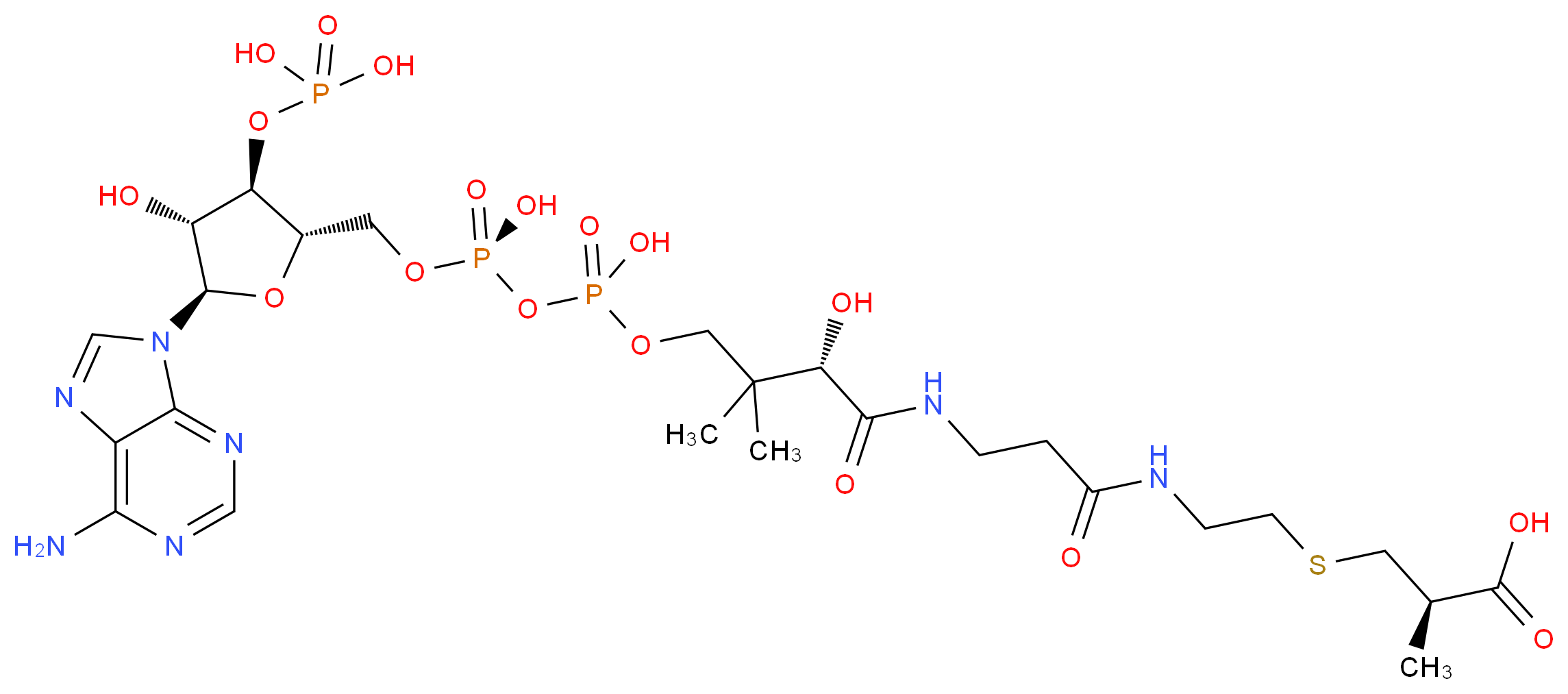 CAS_ 分子结构
