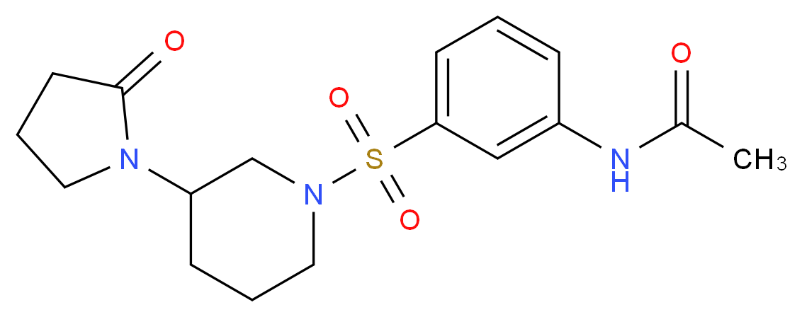 N-(3-{[3-(2-oxopyrrolidin-1-yl)piperidin-1-yl]sulfonyl}phenyl)acetamide_分子结构_CAS_)