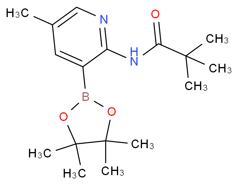CAS_1310383-24-4 分子结构