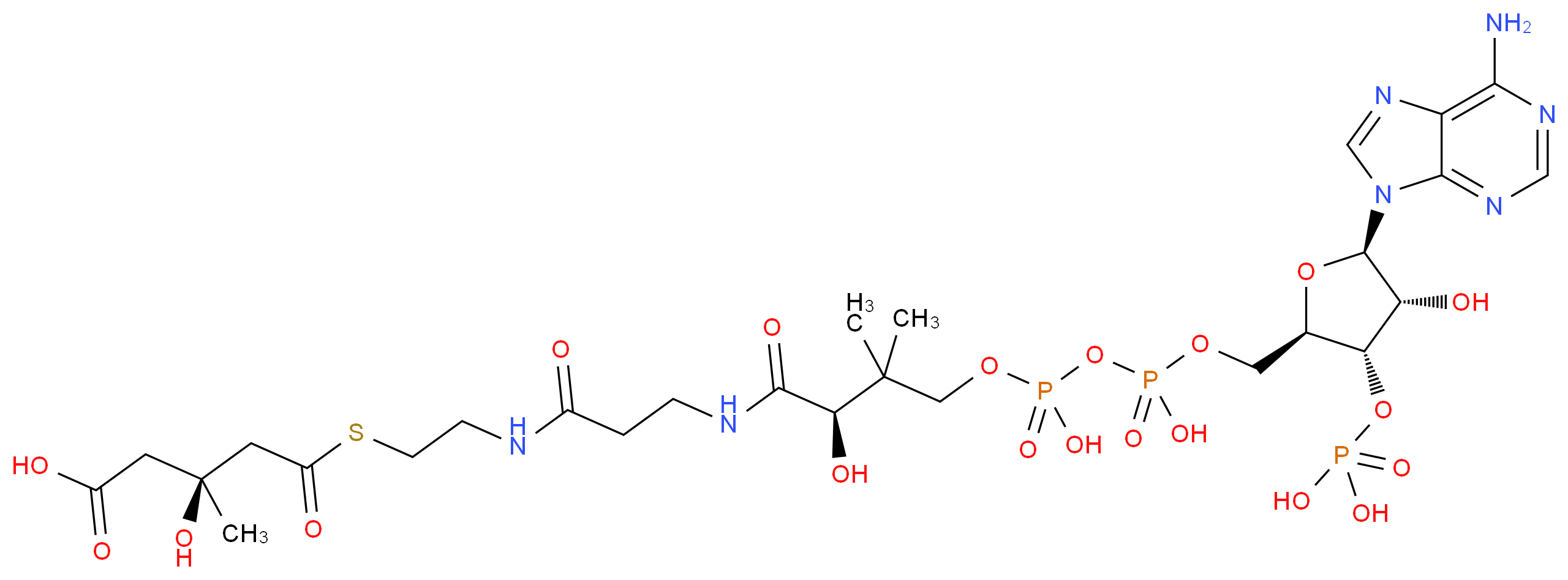 (3S)-5-[(2-{3-[(2R)-3-[({[({[(2R,3S,4R,5R)-5-(6-amino-9H-purin-9-yl)-4-hydroxy-3-(phosphonooxy)oxolan-2-yl]methoxy}(hydroxy)phosphoryl)oxy](hydroxy)phosphoryl}oxy)methyl]-2-hydroxy-3-methylbutanamido]propanamido}ethyl)sulfanyl]-3-hydroxy-3-methyl-5-oxopentanoic acid_分子结构_CAS_1553-55-5