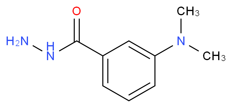 3-Dimethylamino-benzoic acid hydrazide_分子结构_CAS_205927-64-6)