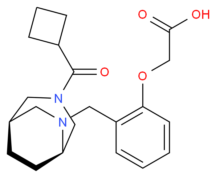 (2-{[(1R*,5R*)-3-(cyclobutylcarbonyl)-3,6-diazabicyclo[3.2.2]non-6-yl]methyl}phenoxy)acetic acid_分子结构_CAS_)
