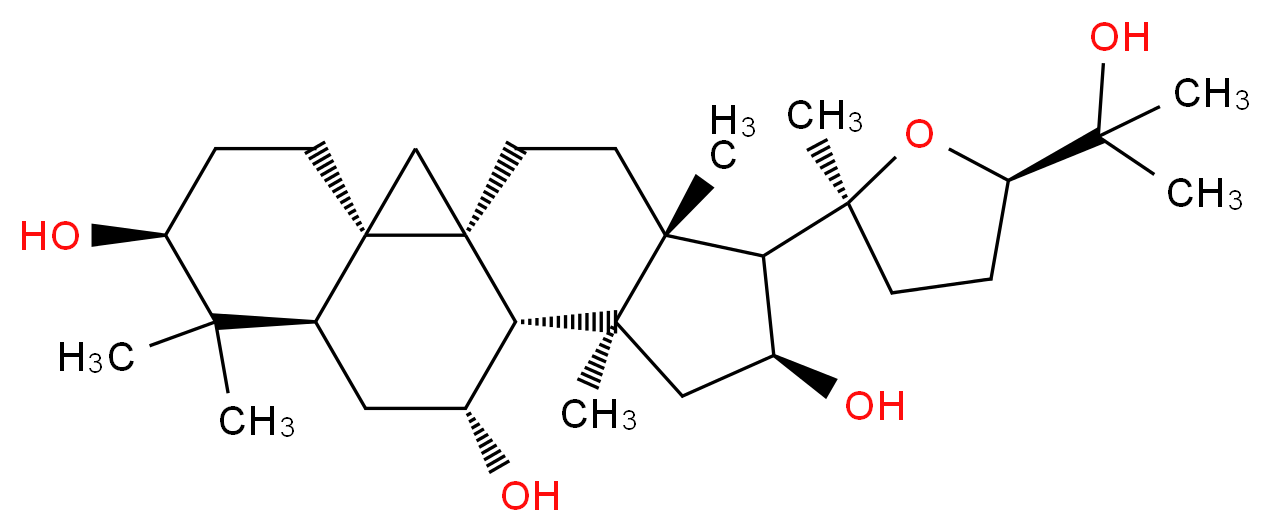 CAS_ 分子结构