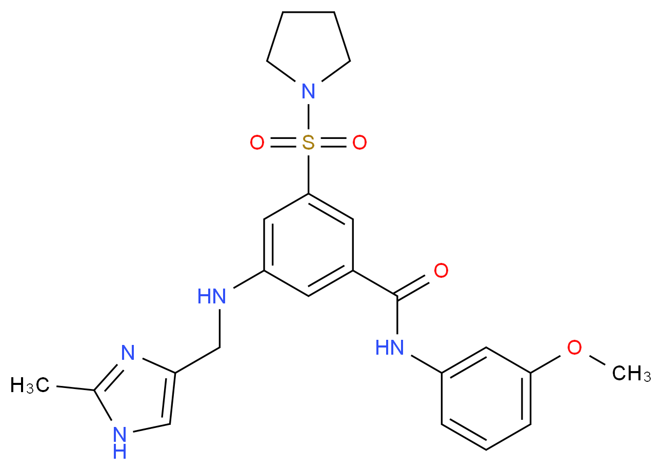 N-(3-methoxyphenyl)-3-{[(2-methyl-1H-imidazol-4-yl)methyl]amino}-5-(1-pyrrolidinylsulfonyl)benzamide_分子结构_CAS_)