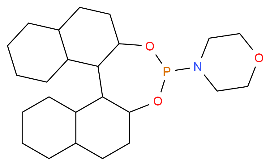 4-{12,14-dioxa-13-phosphapentacyclo[13.8.0.0<sup>2</sup>,<sup>1</sup><sup>1</sup>.0<sup>3</sup>,<sup>8</sup>.0<sup>1</sup><sup>8</sup>,<sup>2</sup><sup>3</sup>]tricosan-13-yl}morpholine_分子结构_CAS_1044553-58-3