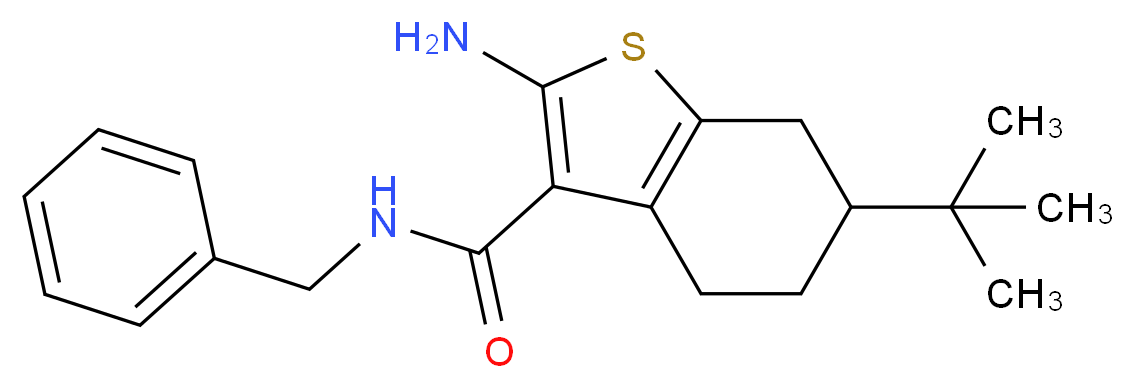 2-Amino-N-benzyl-6-tert-butyl-4,5,6,7-tetrahydro-1-benzothiophene-3-carboxamide_分子结构_CAS_)