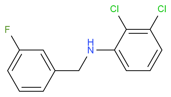 2,3-dichloro-N-[(3-fluorophenyl)methyl]aniline_分子结构_CAS_1036454-45-1