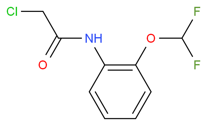 2-chloro-N-[2-(difluoromethoxy)phenyl]acetamide_分子结构_CAS_)