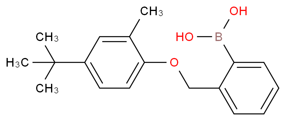 [2-(4-tert-butyl-2-methylphenoxymethyl)phenyl]boronic acid_分子结构_CAS_1072951-76-8