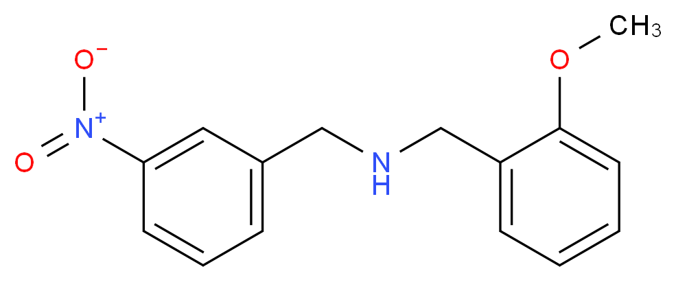 [(2-methoxyphenyl)methyl][(3-nitrophenyl)methyl]amine_分子结构_CAS_418790-82-6