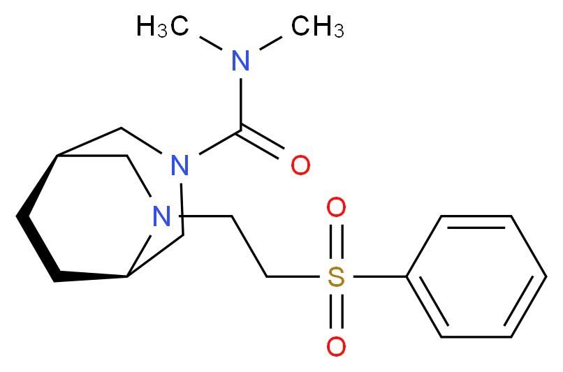 (1R*,5R*)-N,N-dimethyl-6-[2-(phenylsulfonyl)ethyl]-3,6-diazabicyclo[3.2.2]nonane-3-carboxamide_分子结构_CAS_)