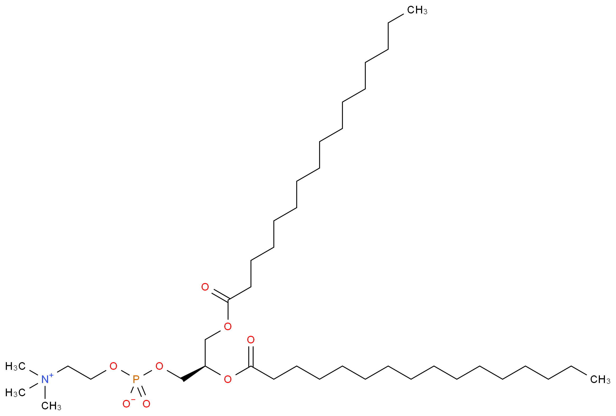 1,2-Dipalmitoyl-sn-glycero-3-phosphocholine_分子结构_CAS_63-89-8)