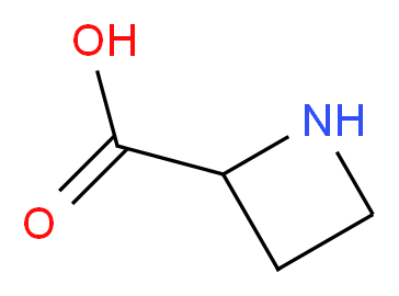 azetidine-2-carboxylic acid_分子结构_CAS_20063-89-2