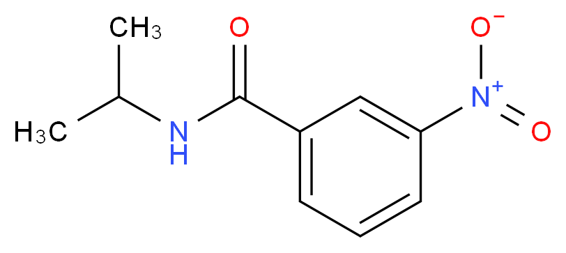 3-nitro-N-(propan-2-yl)benzamide_分子结构_CAS_50445-53-9