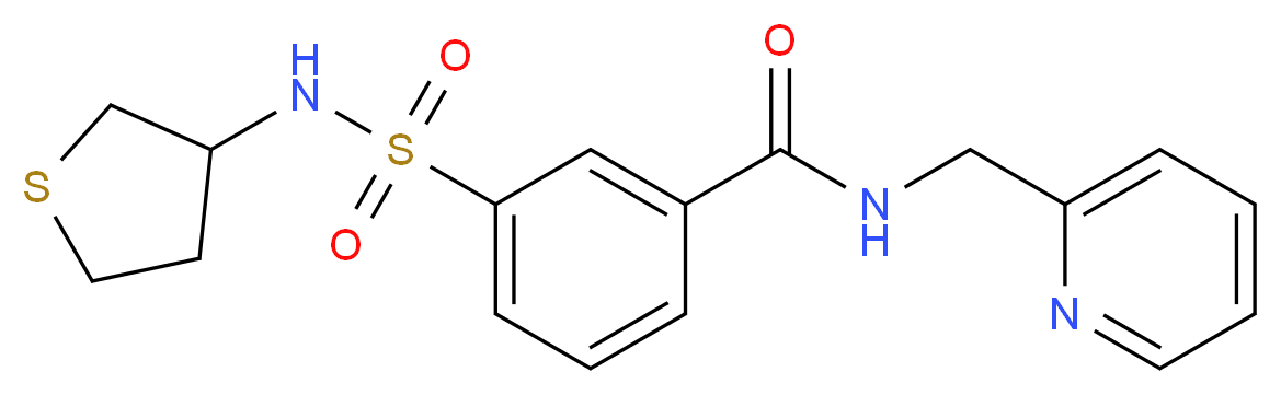 N-(pyridin-2-ylmethyl)-3-[(tetrahydro-3-thienylamino)sulfonyl]benzamide_分子结构_CAS_)