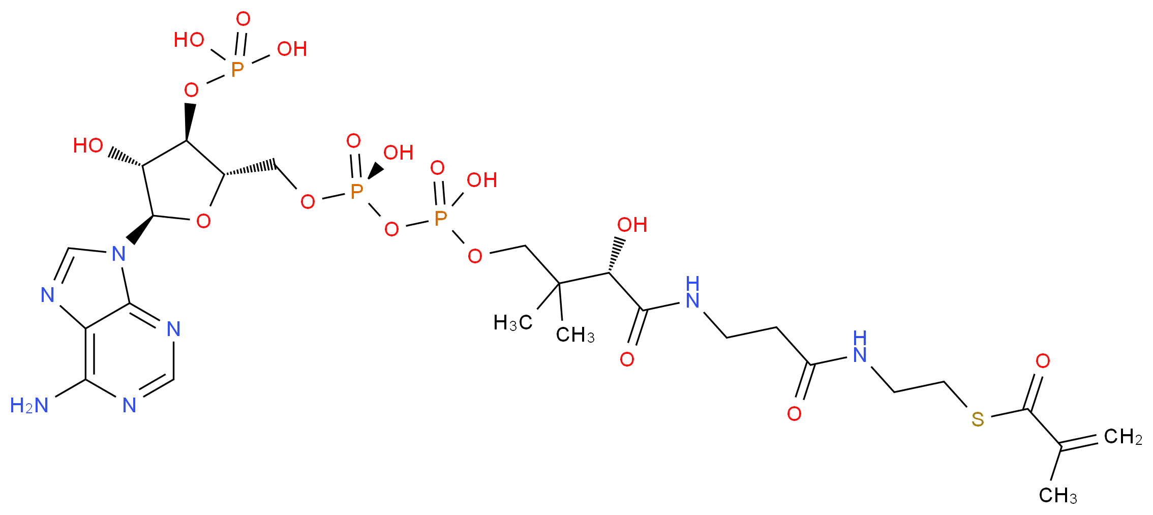 {[(2S,3R,4R,5R)-5-(6-amino-9H-purin-9-yl)-4-hydroxy-2-({[hydroxy({hydroxy[(3S)-3-hydroxy-2,2-dimethyl-3-{[2-({2-[(2-methylprop-2-enoyl)sulfanyl]ethyl}carbamoyl)ethyl]carbamoyl}propoxy]phosphoryl}oxy)phosphoryl]oxy}methyl)oxolan-3-yl]oxy}phosphonic acid_分子结构_CAS_6008-91-9